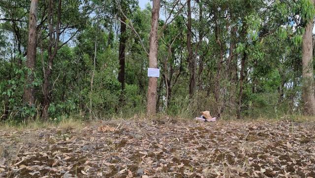 ����Ŵ���Ƭ