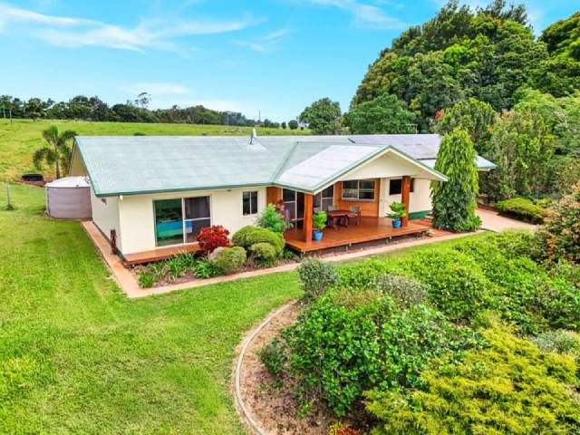 ����Ŵ���Ƭ